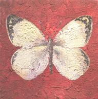 Mark Wydler, Great White (Butterfly) link from Is-Harmony dot com to mark wydler